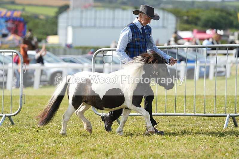 DSC05224 - Class 49: NPS Shetland 4 years and over