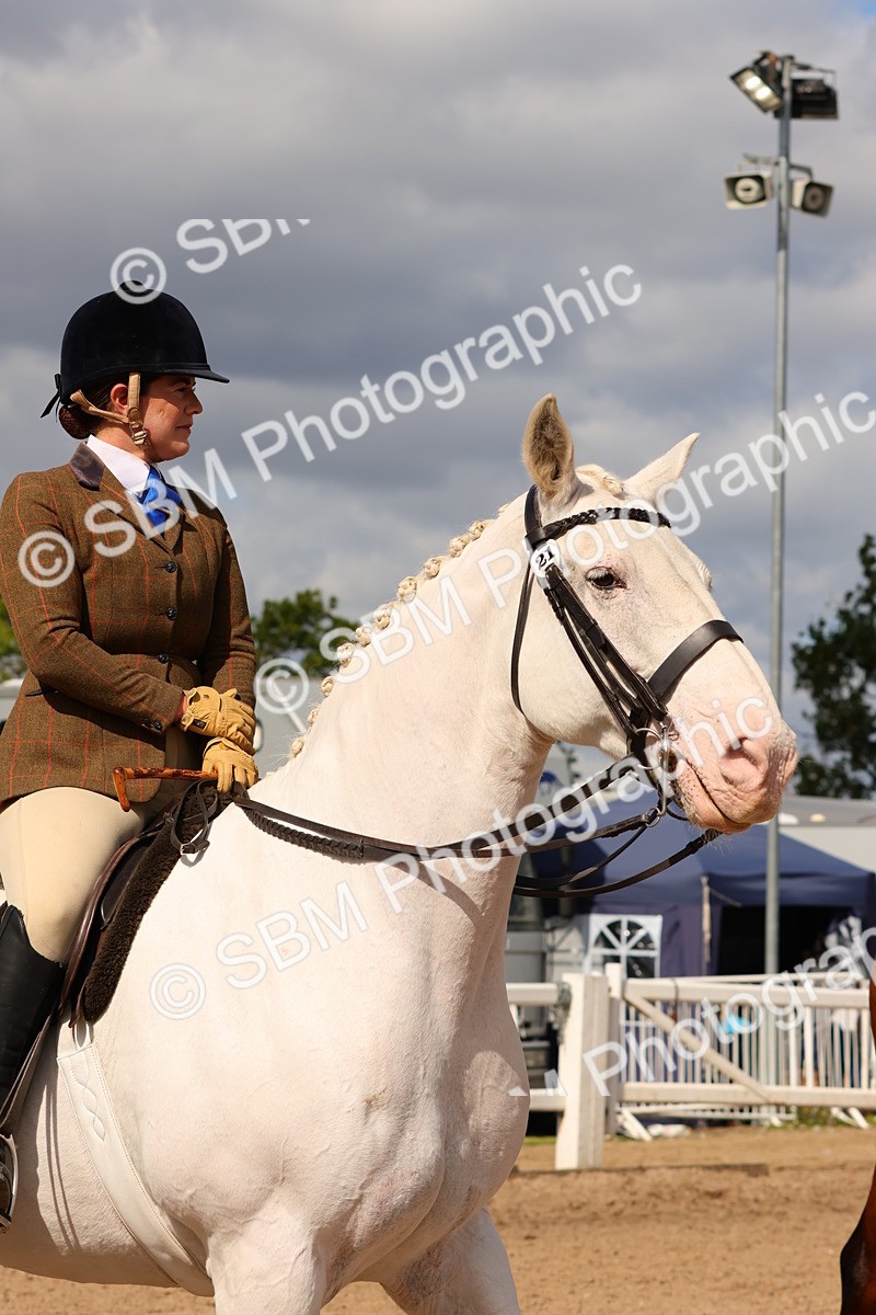 SBM_13554 - Class 212 - Ridden Hunter  - Large