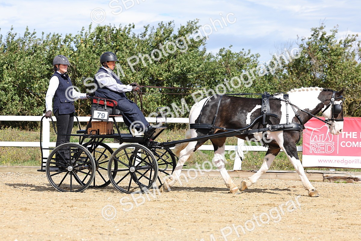SBM_000908 - Class 8 - Novice Horse or Pony to any vehicle
