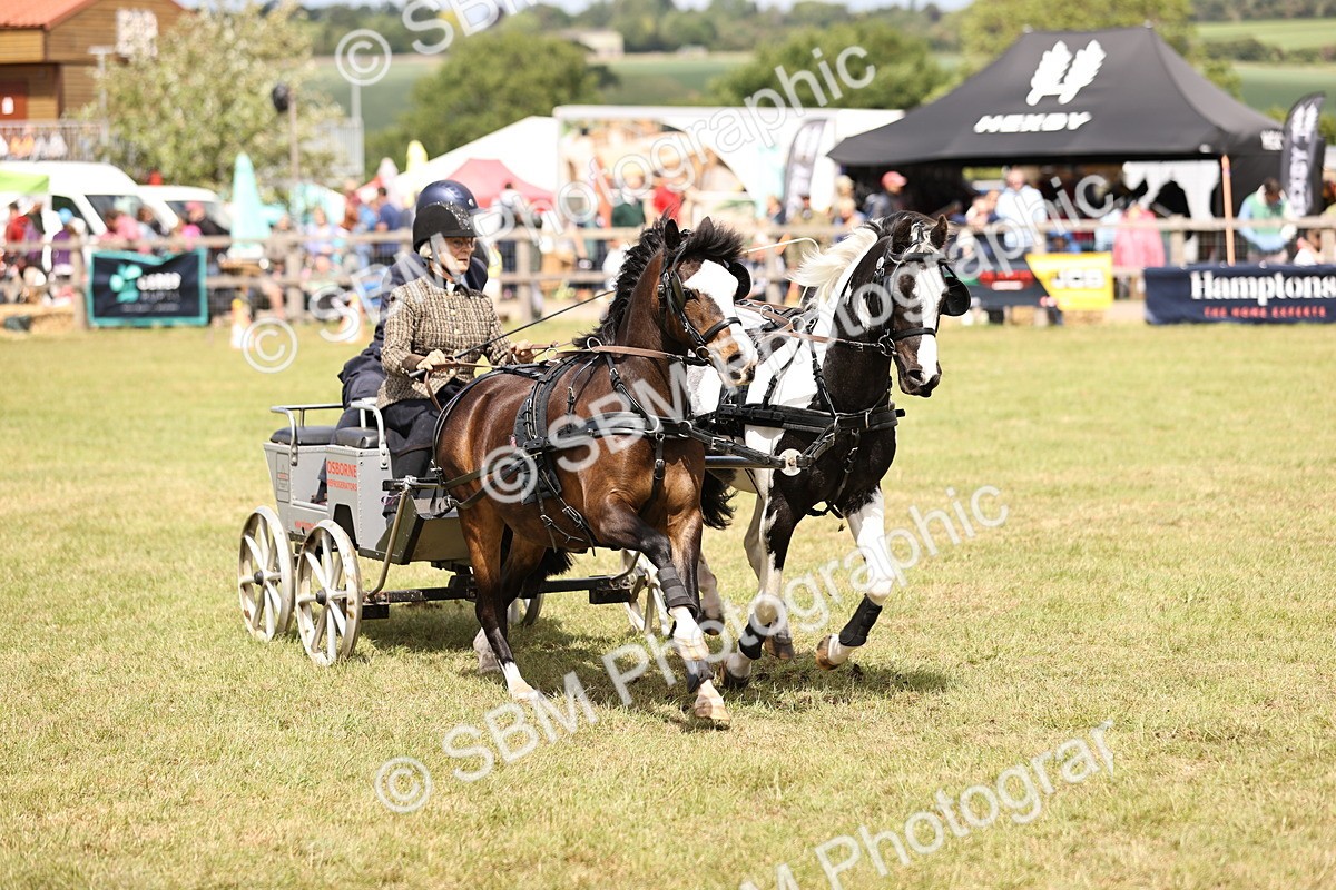 SBM_16024 - Class 91 - Scurry  exceeding 122cms