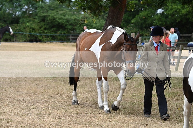 WJ6_7949 - Class 10 Coloured in Hand
