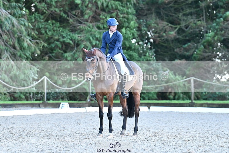 251023A-164003-05922 - A-017-Harrison.Chart