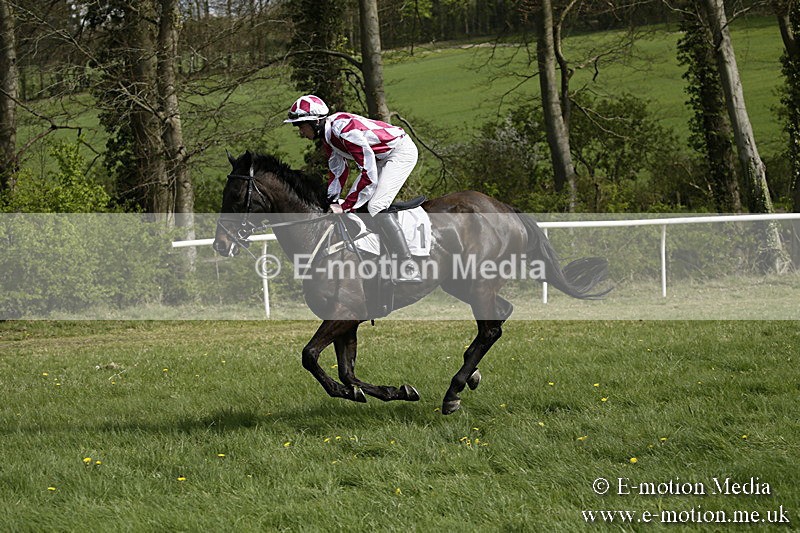 PtP 170417 241 - Old Berks Point-to-Point Lockinge 17/04/17