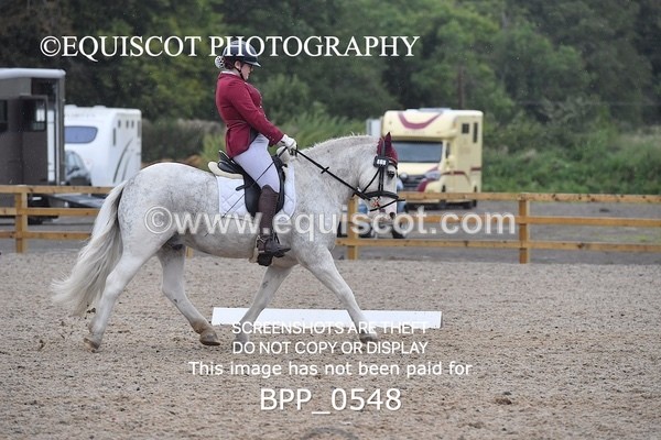 BPP_0548 - MFS PRELIM & NOV