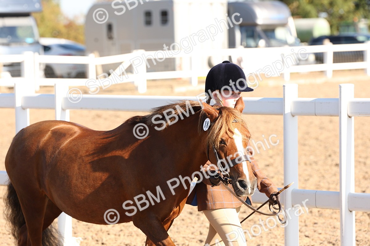 SBM_11618 - Class 203 - Young Handler 11 to 16 years