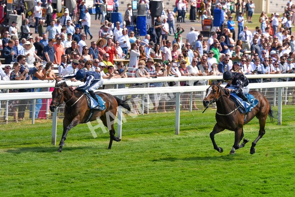 160623-Race 3-Radio Goo Goo-6229 - Race 3 3.00pm British EBF Supporting Racing With Pride Fillies' Handicap