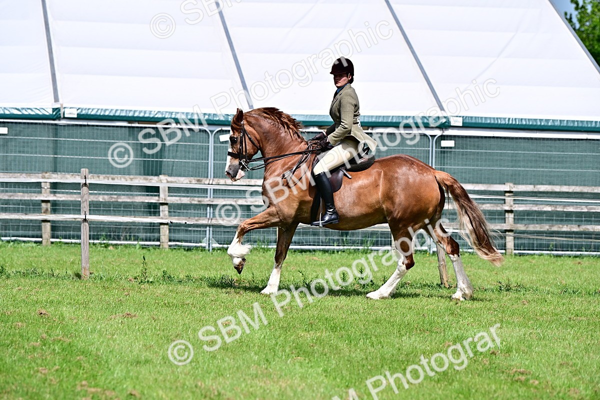 SBM_03754