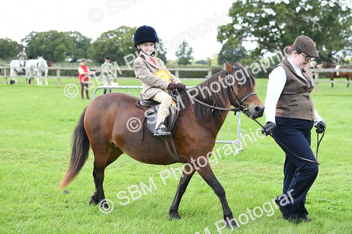 SBM_42725 - S20 - Lead Rein Mountain & Moorland Pony