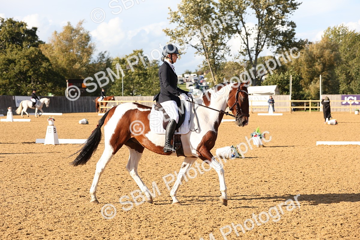 SBM_28223 - D20 - Grand Tour Championship Elementary 3