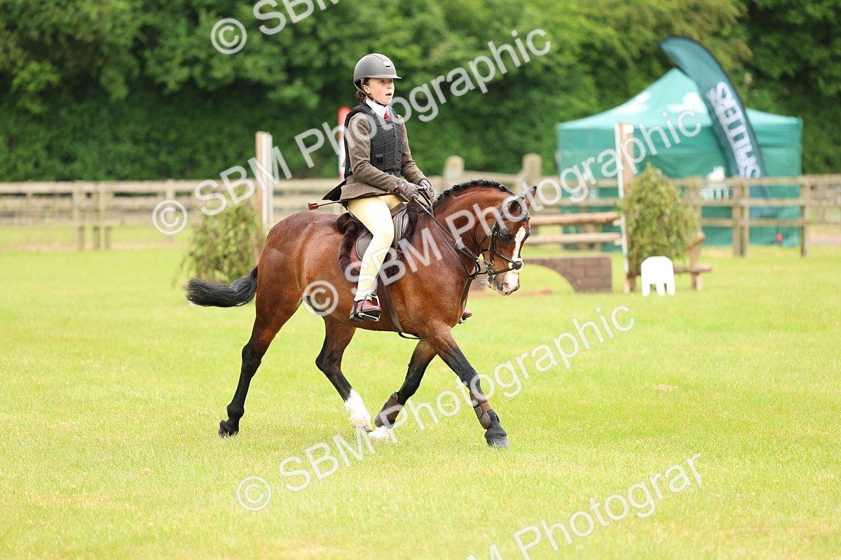 SBM_10300 - Class 44-45 - LIHS BSPS Open Nursery and Cradle Stakes