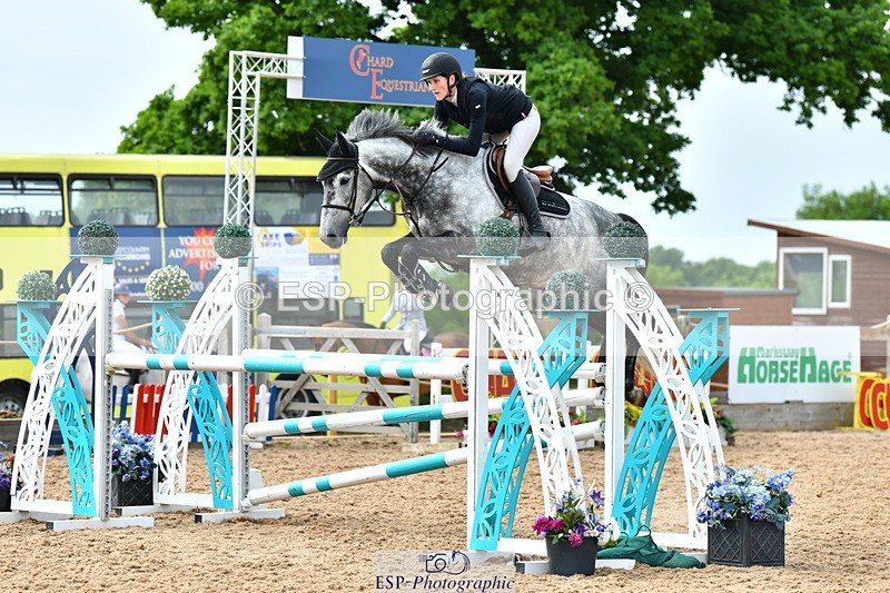 230611A-161423-06539 - Cls 29 Foxhunter