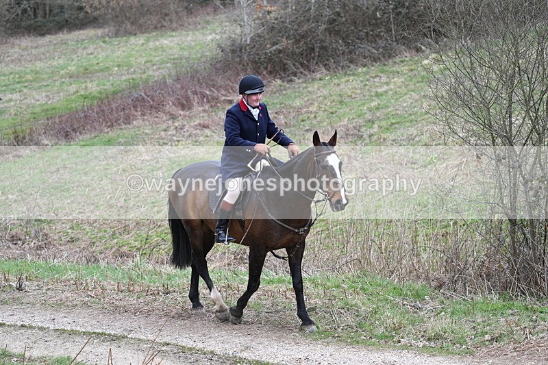 WJ7_7341 - Walk Home