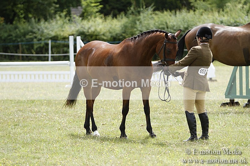 BVR160717-1850 - Ring 3 BVRC Show 16/07/17