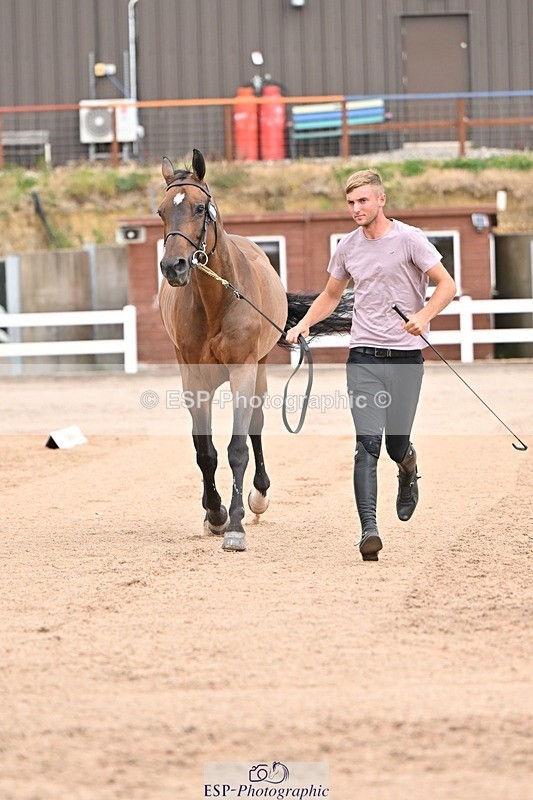 250716-150354-01598 - Trot Up 2.30 to 3.30