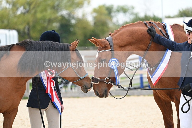 WJ7_1991 - Class 1 & Champs