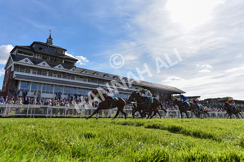 160924-Race 3-Moostar-6556 - Race 3