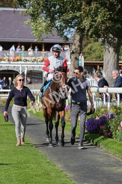 yr08102021r1-30 - Race 1 2.05pm Parsonage Hotel and Cloisters Spa Nursery Handicap