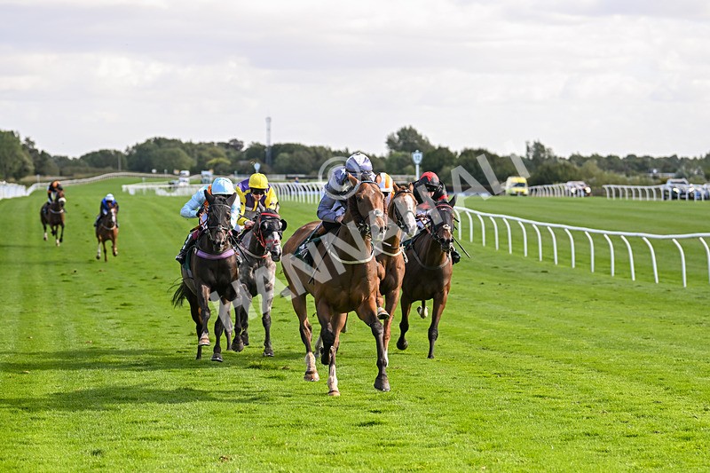 100924-Race 3-Laudable-0175 - Race 3