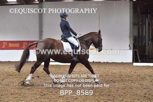 BPP_8589 - NOVICE 4 BD