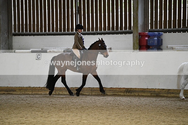 WJ5_7418 - Class 11 Ridden PC - RC Pony