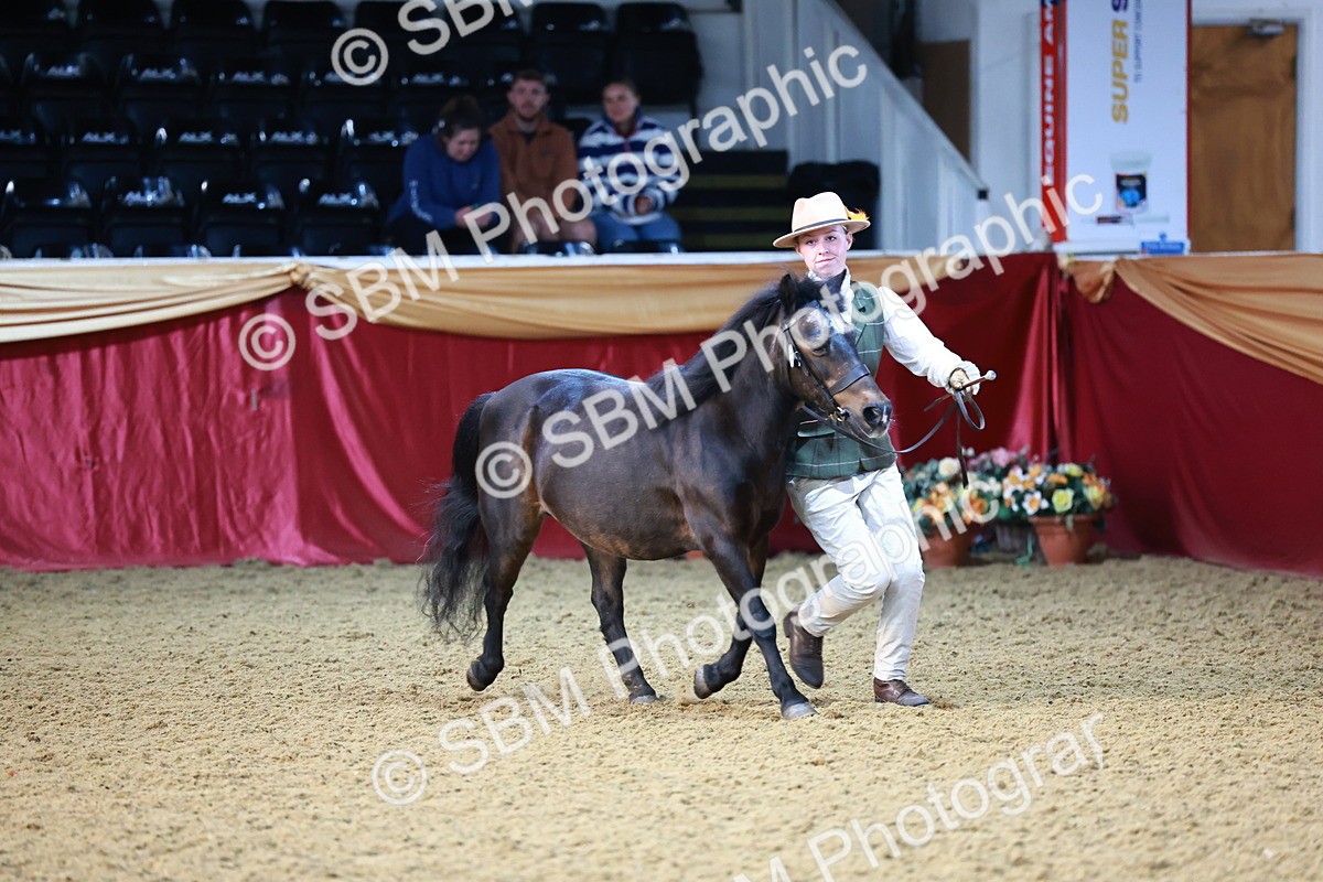 SBM_21796 - Class 901 - Supreme Final - IH  Diamond