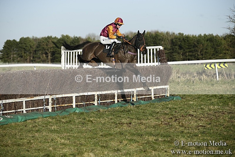 PtP 070118 -471 - Larkhill Racing Club Point to Point Larkhill 07/01/2018