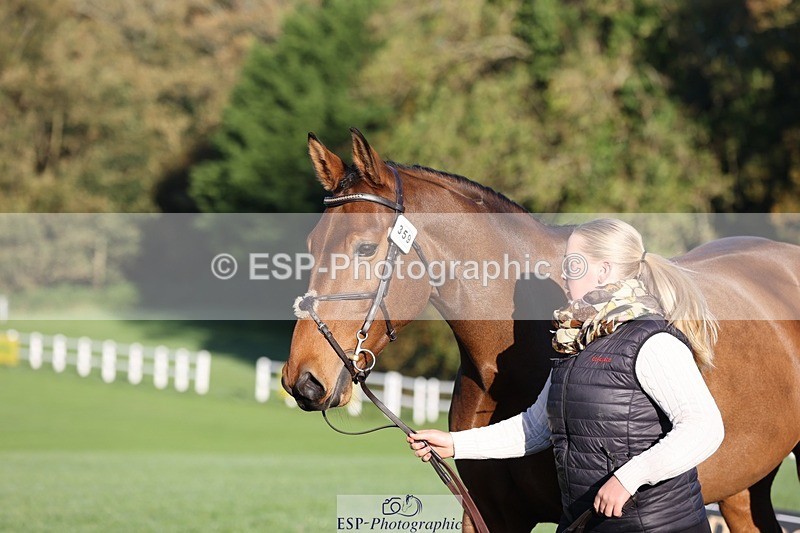 241027-085106-14851 - 359- Harriet Birkby- CBH CLOVER LINING