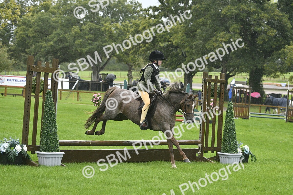 SBM_37140 - S31 - Novice & Newcomer Working Hunter Pony
