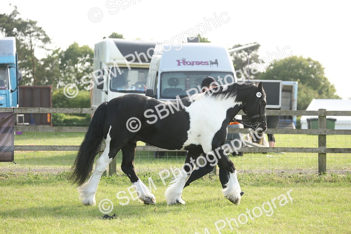 SBM_10580 - Class 33-38 - SSADL RIHS Qualifiers