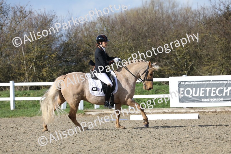 20260314-5809 - DR 7 - Elementary 1