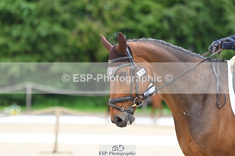 240524-113349-08926 - 519-BLUES_CLOUD-Louise_Harwood