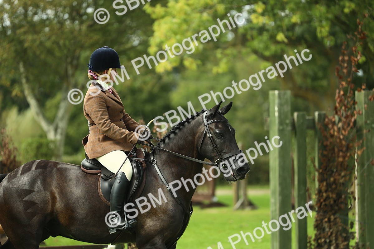 SBM_44751 - S31 - Working Hunter Pony