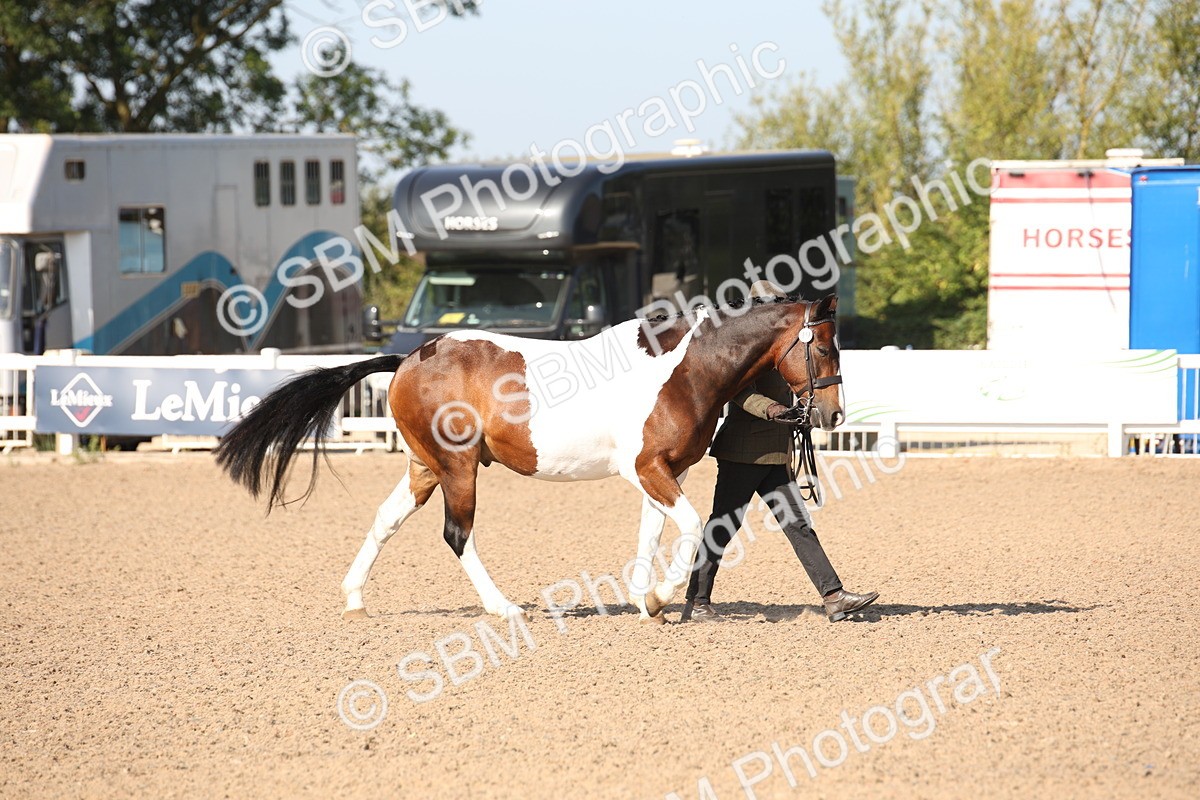 SBM_01422 - Class 15 IH Coloured