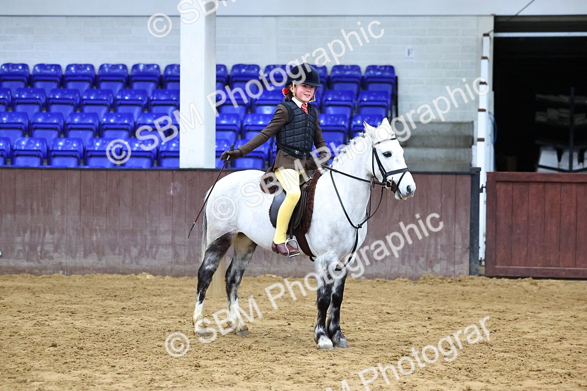SBM_004189 - Class 38 - Unaffiliated Novice Plaited WHP