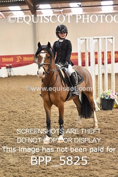 BPP_5825 - CLASS 3 PONY 40CM FINAL