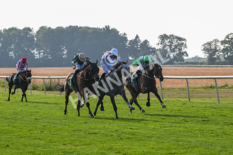 300824-Race 7-The Crafty Mole-6473 - Race 7