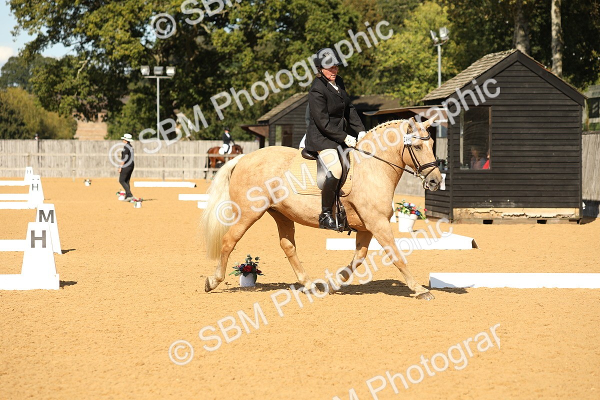 SBM_24579 - D17 - Grand Tour Championship - Novice 27