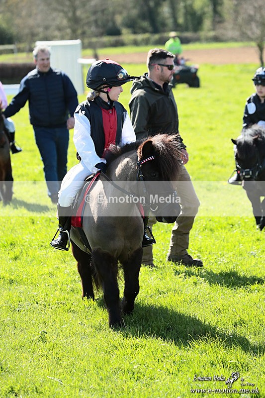 Shet 060426 356 - Shetland Pony Racing Paxford Races Easter Mon 06/04/26