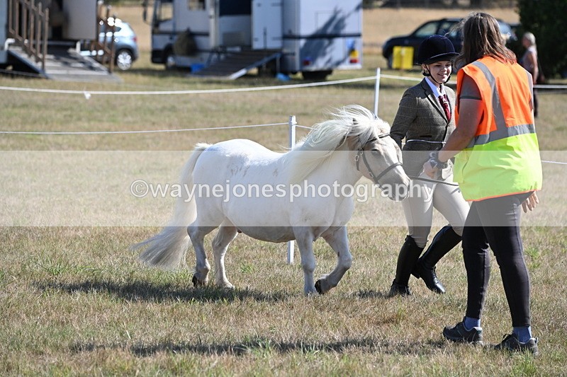 WJ6_4191 - Class 16 Condition & Turn Out