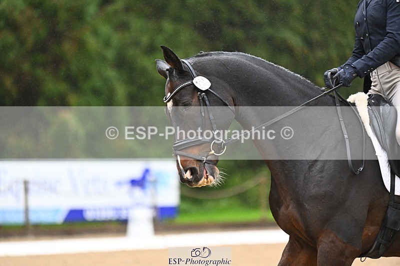 231021-103054-14465 - 234-HINDOCTRO-Louisa.Lockwood-DR