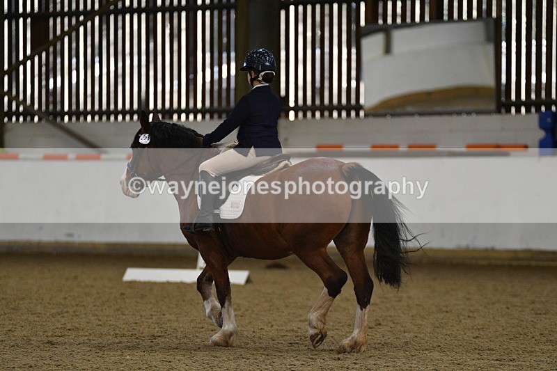 WJ5_7019 - Class 2 Intro Test 2