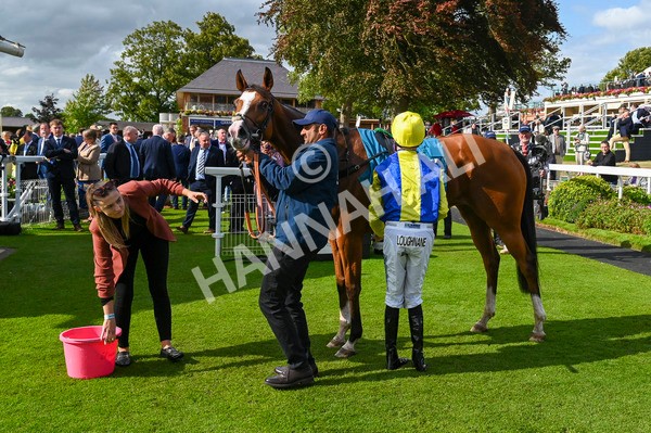 230824-Race 5-Canoodled-9312 - Race 5 4.10pm Assured Data Protection EBF Fillies' Handicap