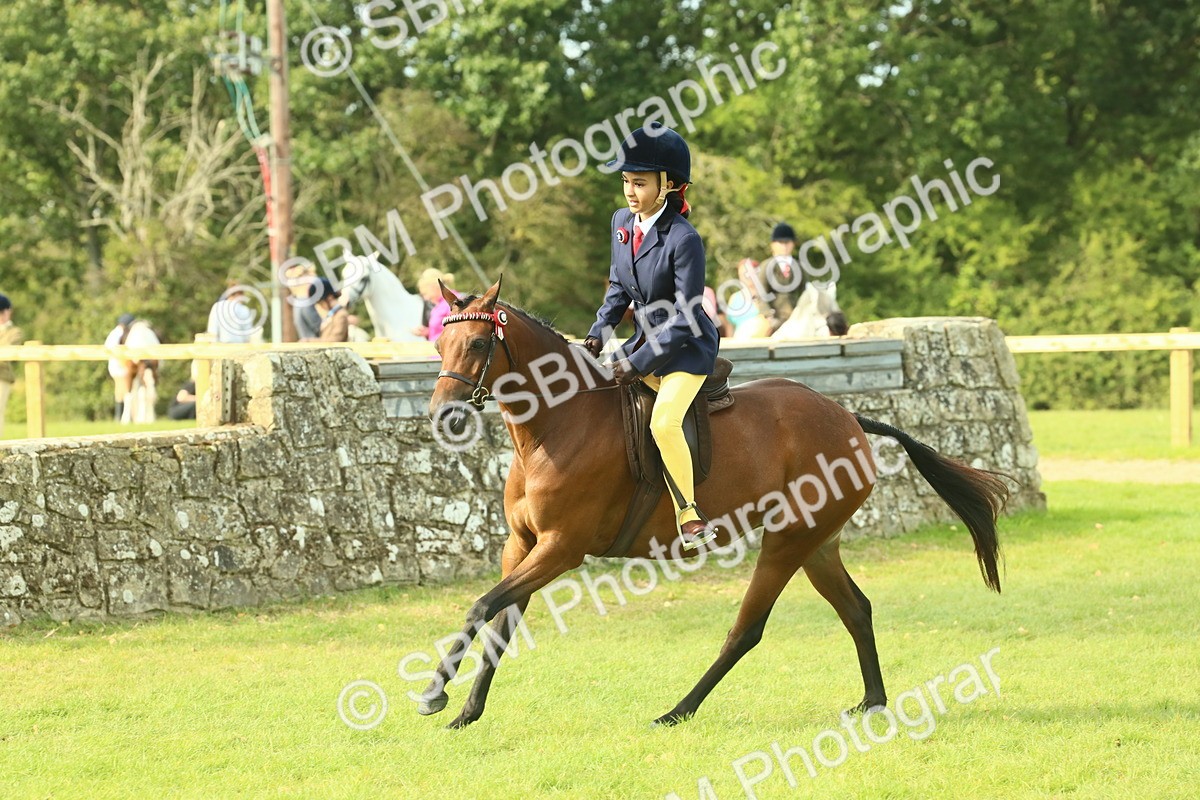 SBM_68103 - S57 - Part Bred Pony Ridden
