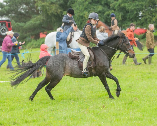 Dunblane show-278 - Dunblane and Doune Show Ring 1