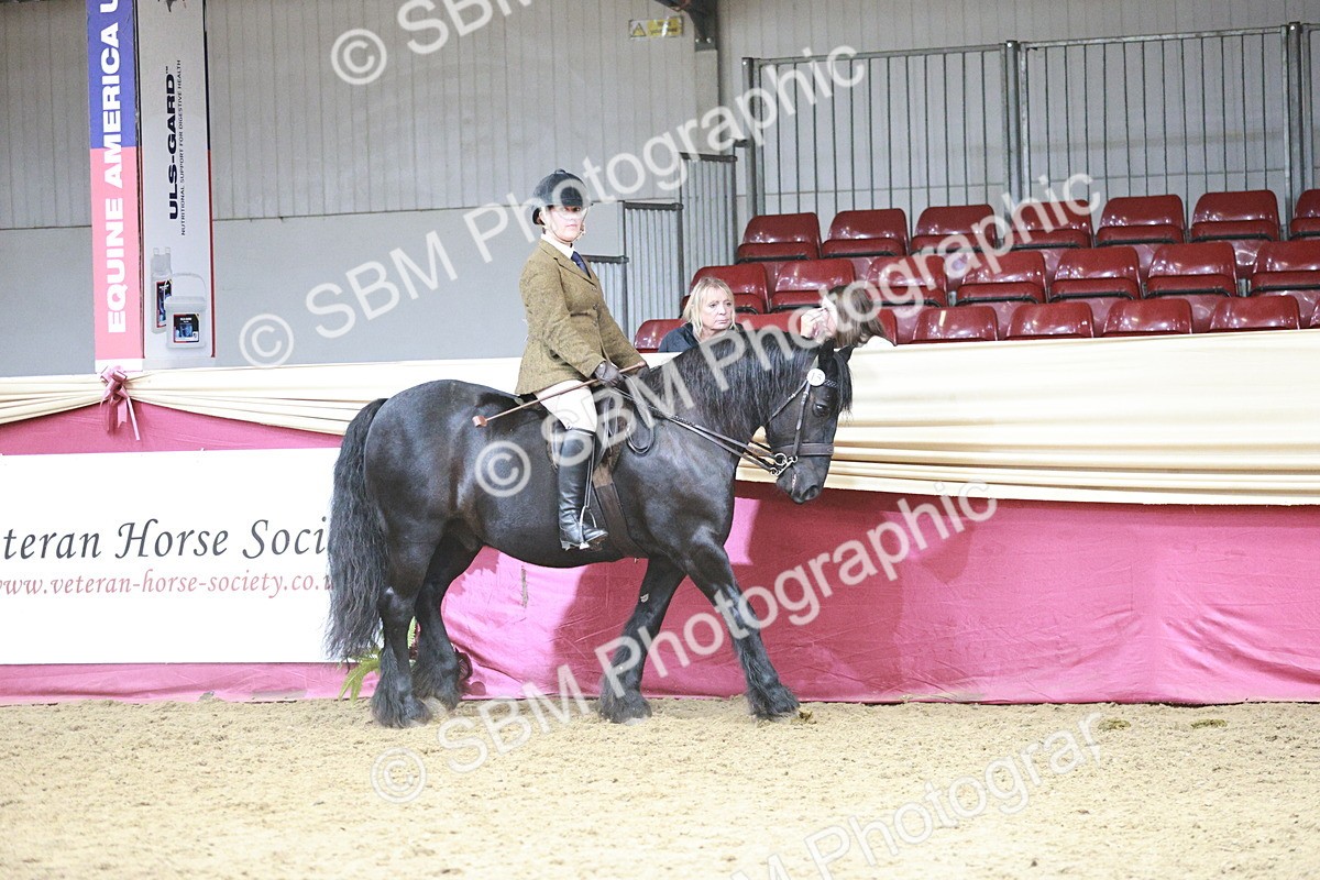 SBM_08786 - Class 12R - Regional Ridden Pre-Vet