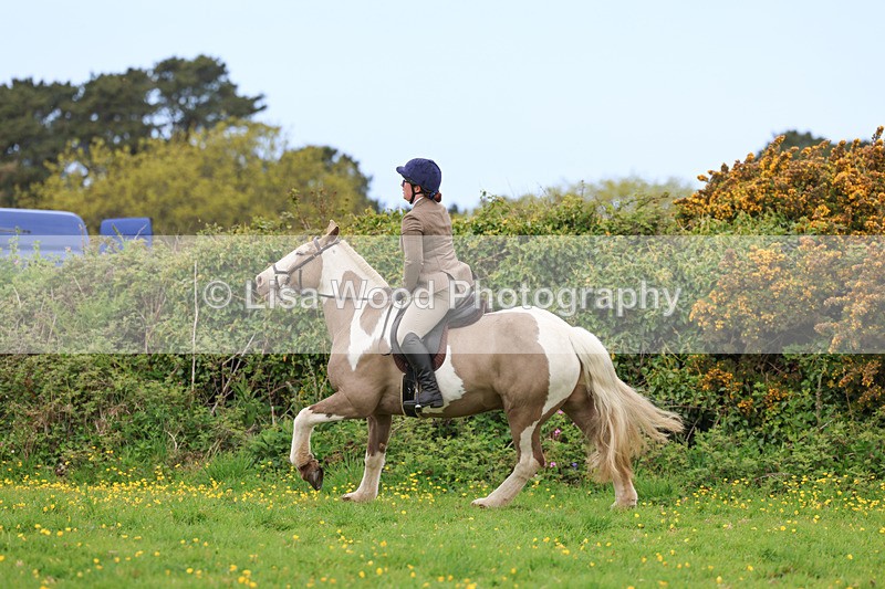 3E7A0997 - Class 6: Ridden Coloured