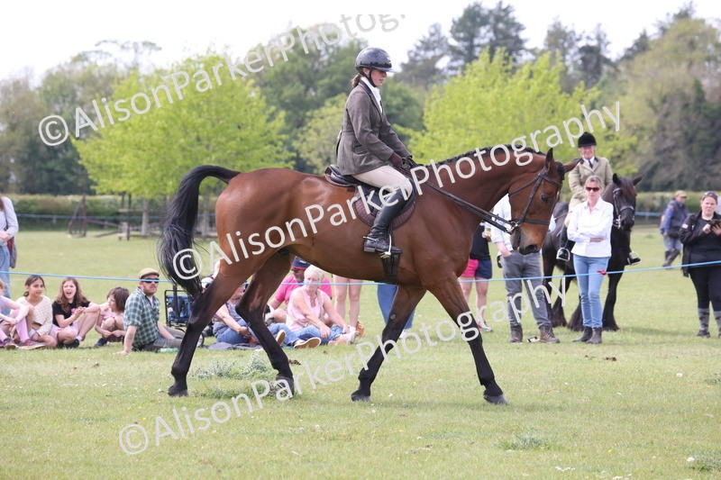 20260426-4403 - Class 34 - Best Riding Horse Over 14.2hh