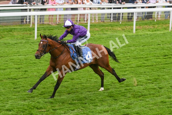 yr22052022r2-10 - Race 2: 4:00pm Sky Bet Sunday Series EBF Novice Stakes