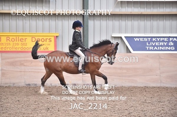 JAC_2214 - CLASS 2 Novice Working Hunter