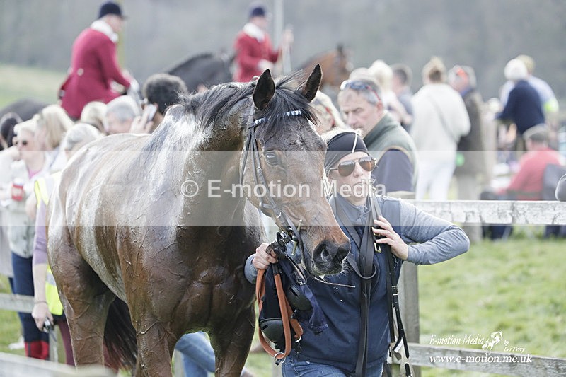 PtP 080423 438 - Dingley Races The Woodland Pytchley Hunt PtP 08/04/23